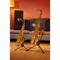 SML Paris Saxophone alto verni 